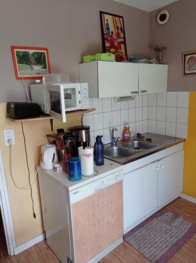 Chambre Chez L'Habitant Saint-Die-des-Vosges Εξωτερικό φωτογραφία