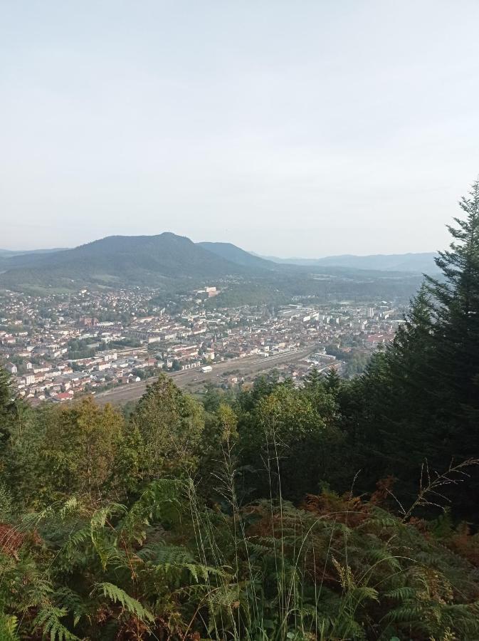 Chambre Chez L'Habitant Saint-Die-des-Vosges Εξωτερικό φωτογραφία